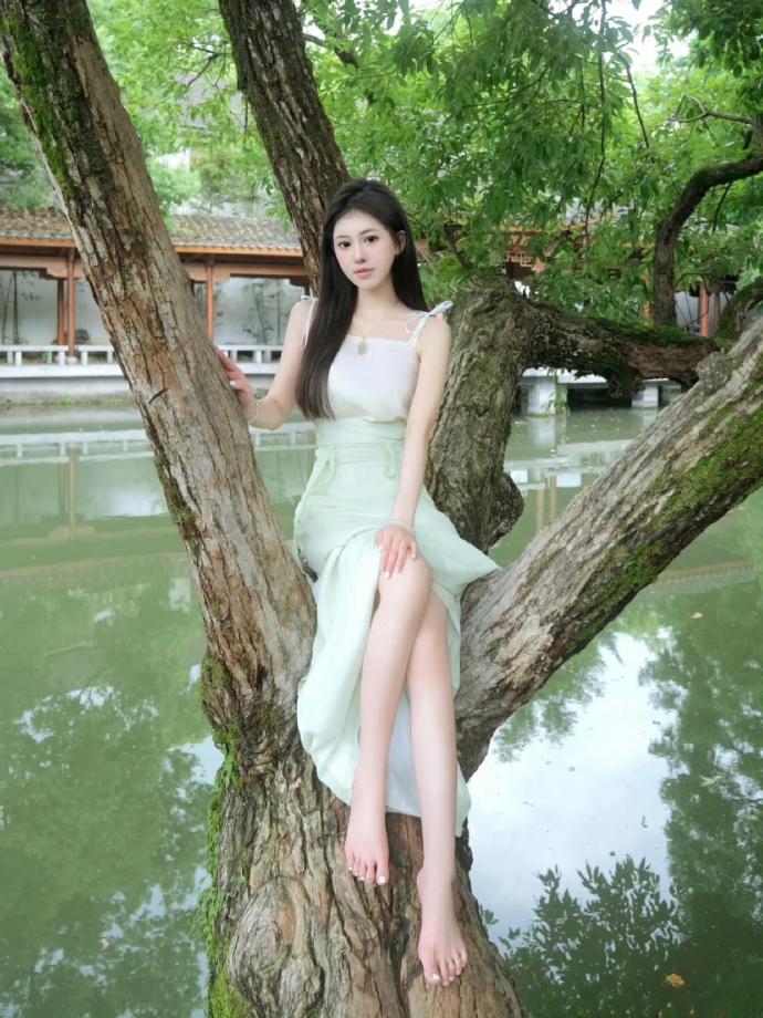 肖申克的救赎 封面
