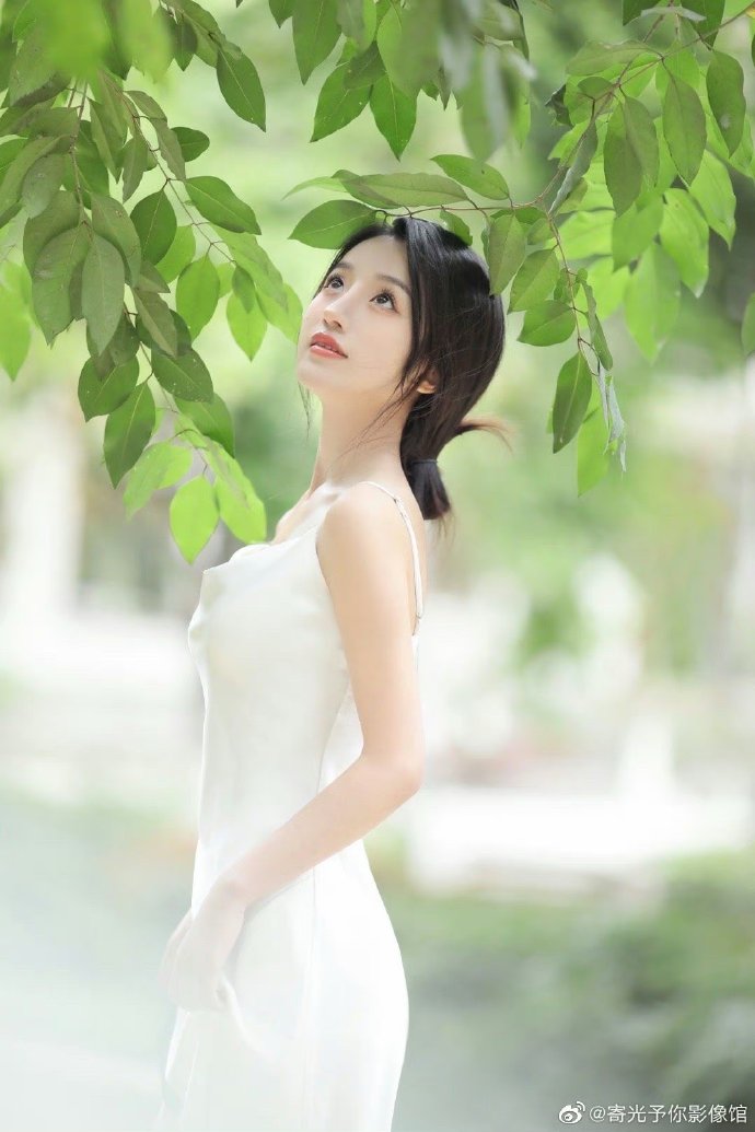 我的阿勒泰 封面